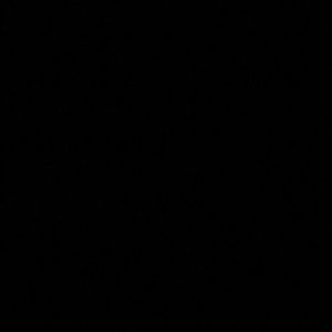 Meet your Posher, Hallie